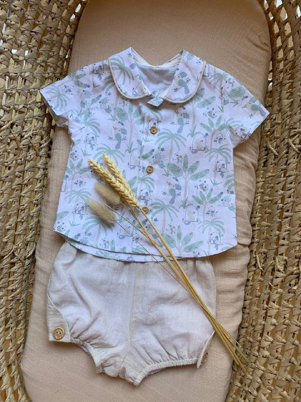 COMPLETO TUCANO DEL SUR