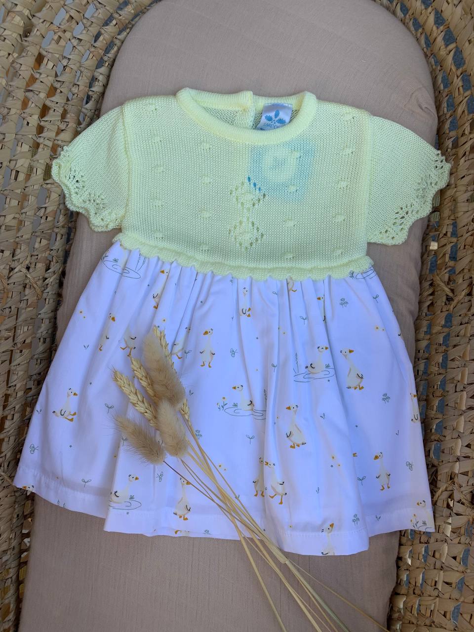 ABITINO OCHETTE SARDON