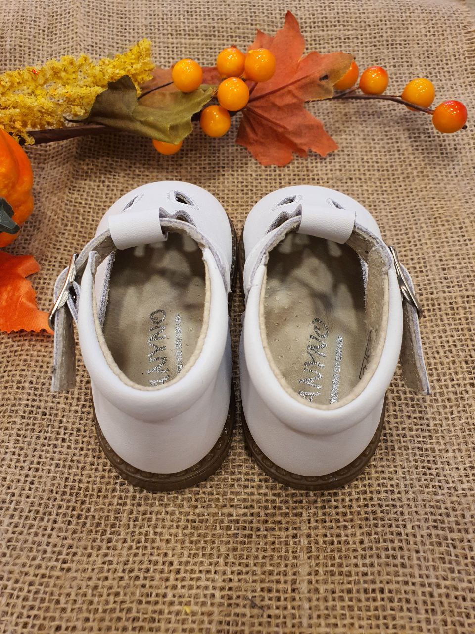 OCCHIELLO BIANCO PANYNO