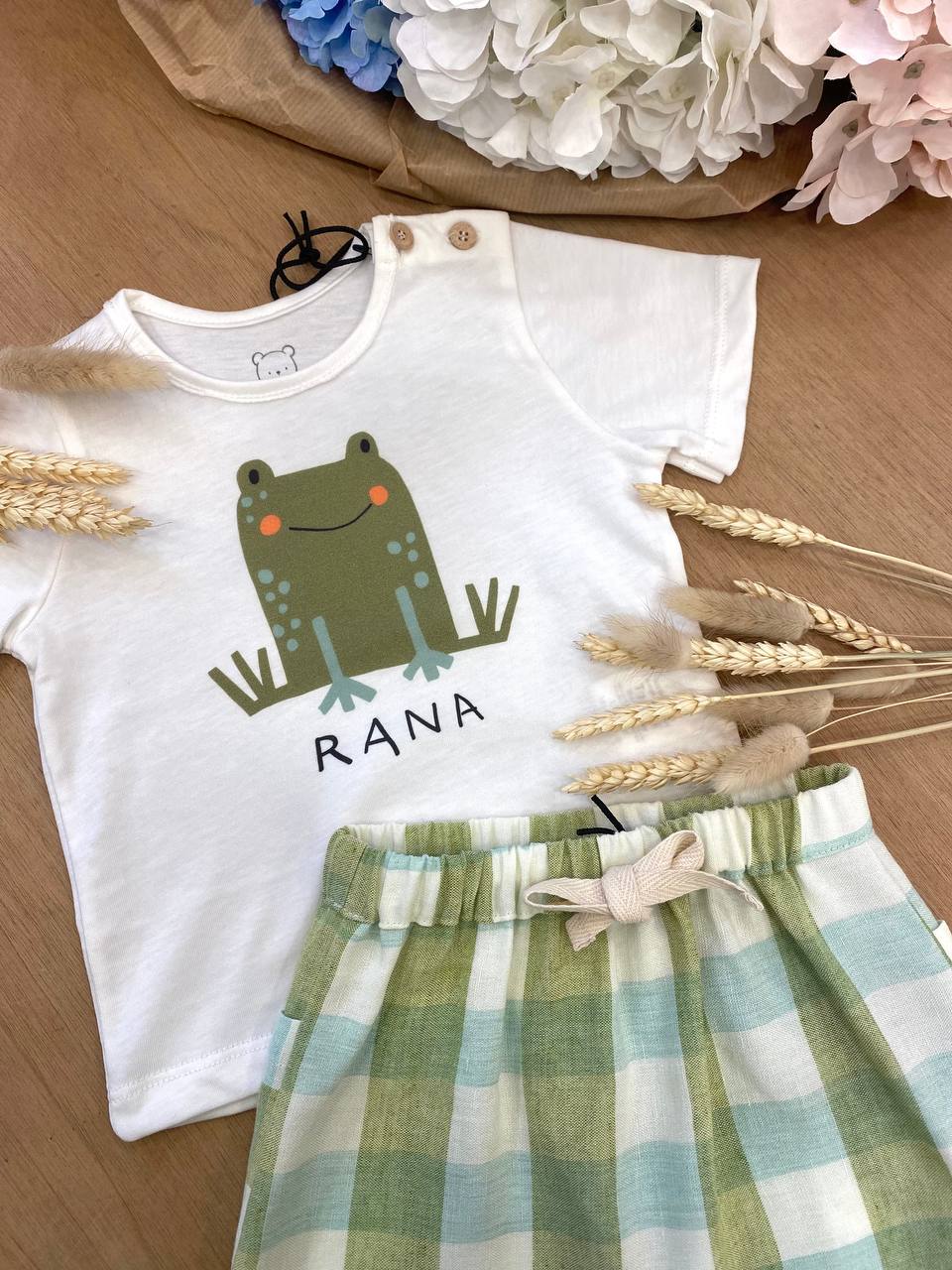 Completino rana