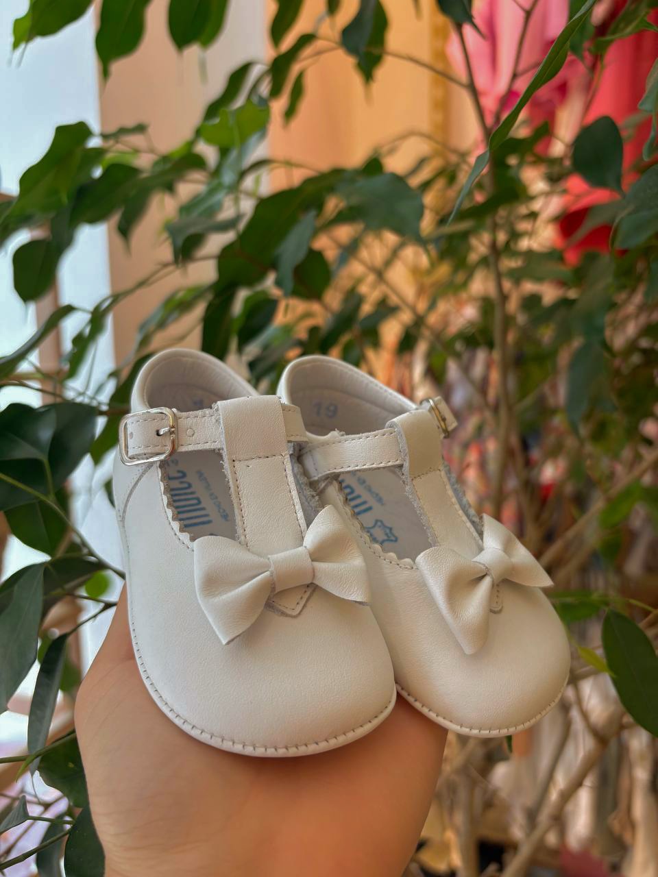 Bambolina FIOCCO beige INDICE CULLA