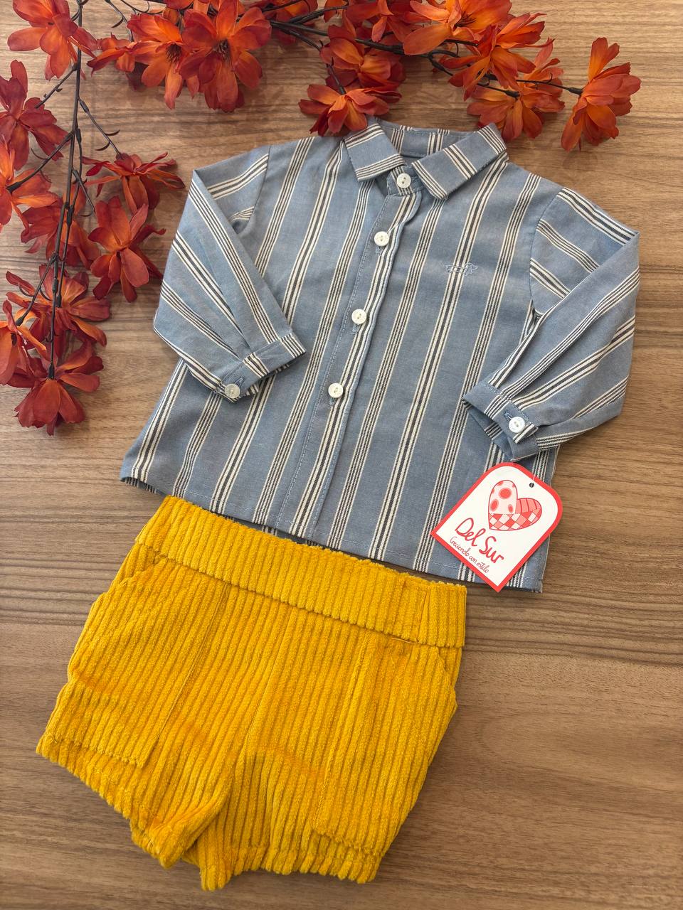 Completo CAMICIA RIGATA e SHORTS SENAPE DEL SUR