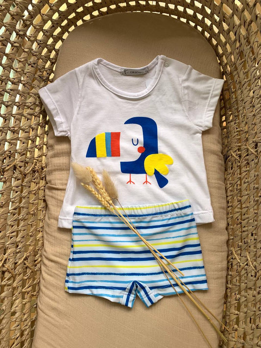 COMPLETO T-SHIRT TUCANO E COSTUME CALAMARO