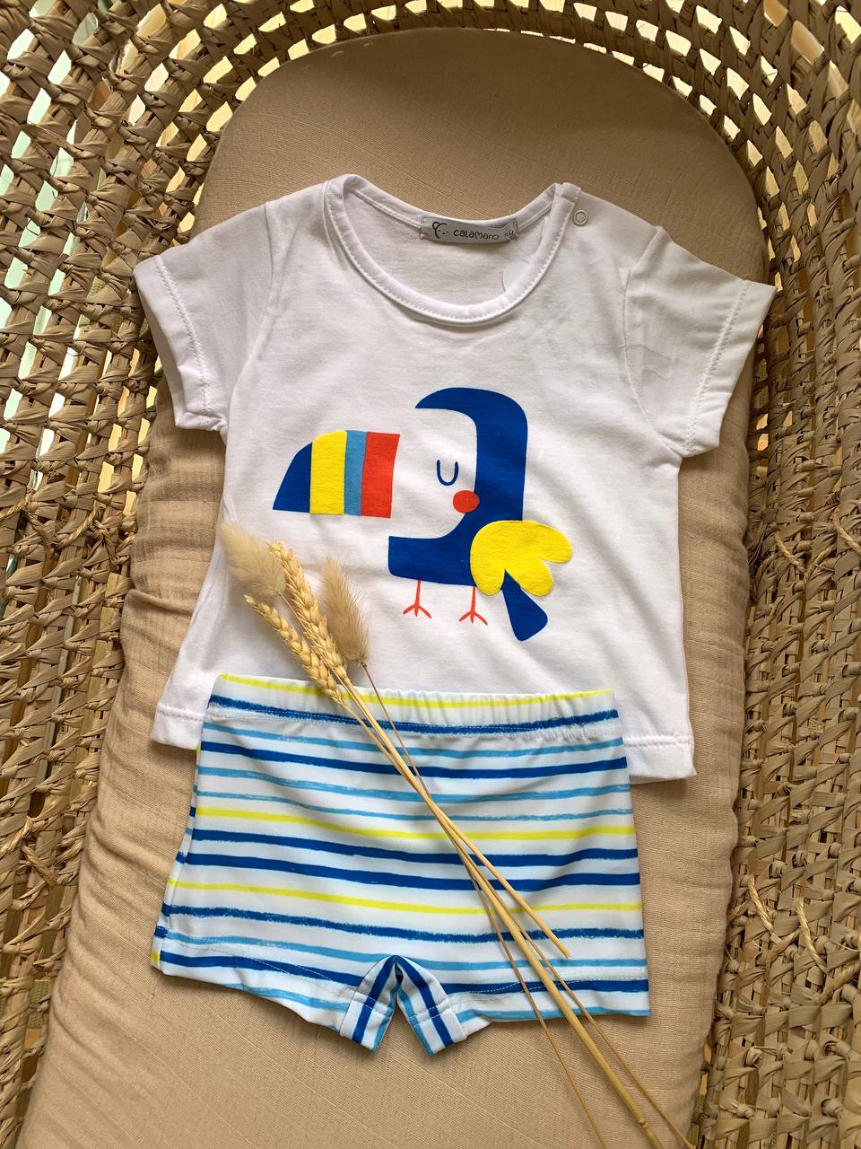 COMPLETO T-SHIRT TUCANO E COSTUME CALAMARO