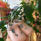 Occhiello ROSA INDICE CULLA