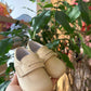 Mocassino beige INDICE CULLA
