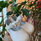 Scarpine BIANCHE CON FIORELLINI INDICE CULLA