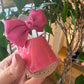 Minorchine FUCSIA INDICE
