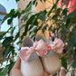 BAMBOLINA ROSA CON FIOCCO ALLA CAVIGLIA INDICE CULLA