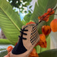 Scarpe PIED DE POULE BEIGE E BLU GENTLEMAN