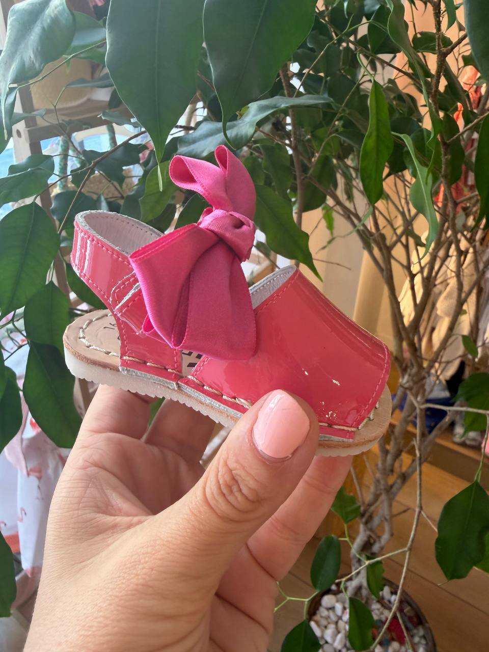 Minorchine FUCSIA INDICE
