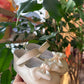 BAMBOLINA CON FIOCCO IN TESSUTO BEIGE INDICE CULLA