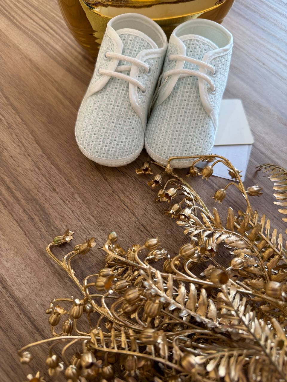 SCARPINE LORD SALVIA GASTONE