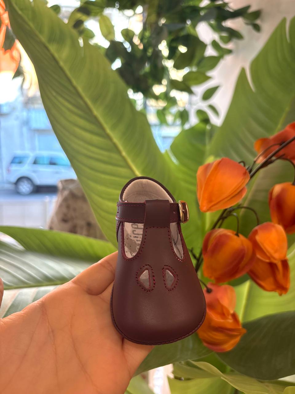 Occhiello BORDEAUX INDICE