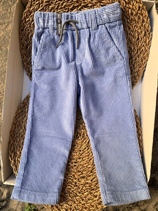 Pantalone in velluto CELESTE SARABANDA