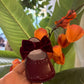 Scarpine bordeaux CON FIOCCO IN VELLUTO INDICE