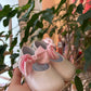 Scarpine Rosa con fiocco Indice CULLA