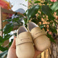 Mocassino beige INDICE CULLA