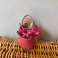 Minorchine FUCSIA INDICE
